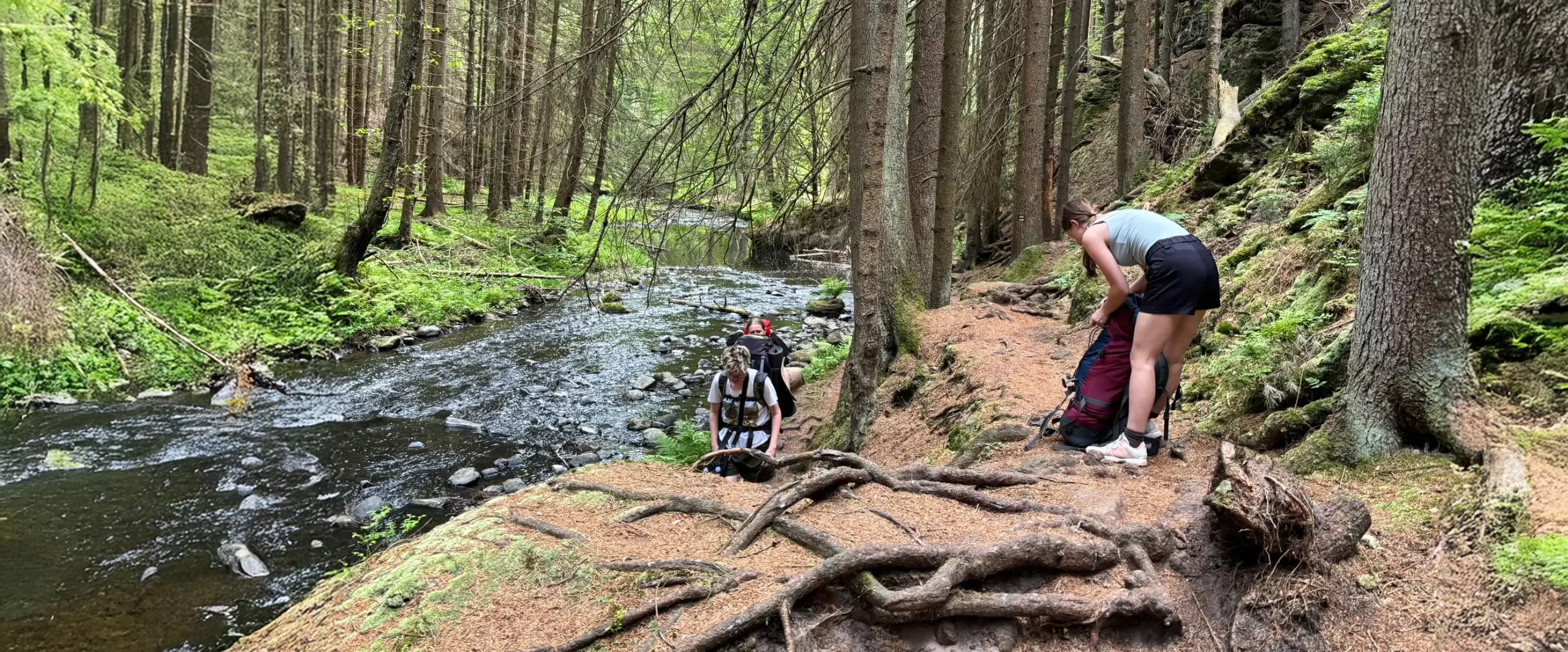 Pavlínino údolí (1)